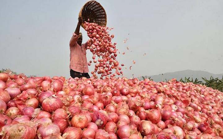 পেঁয়াজের রপ্তানি বাড়াতে দাম কমিয়েছে ভারত