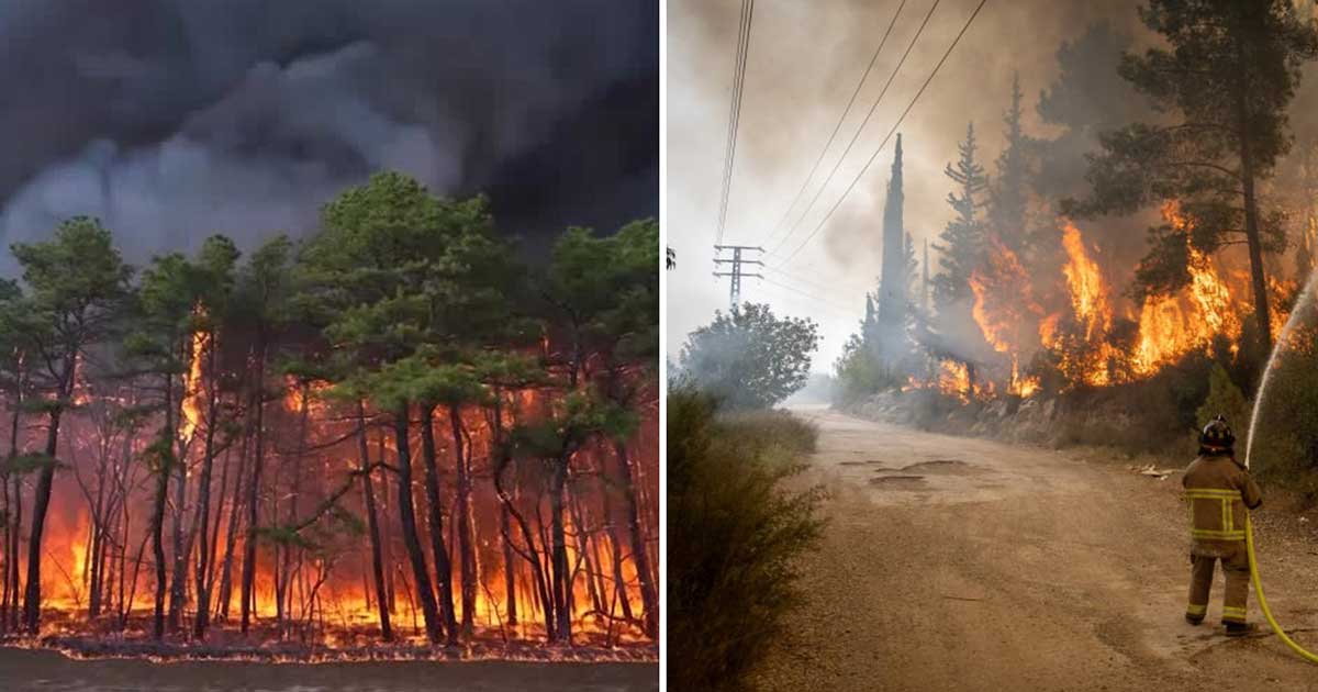 দাবানলে পুড়ছে যুক্তরাষ্ট্র ও ইসরাইল